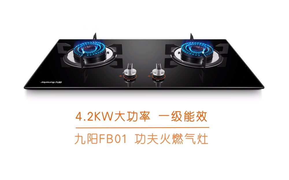 燃?xì)庠町a(chǎn)品